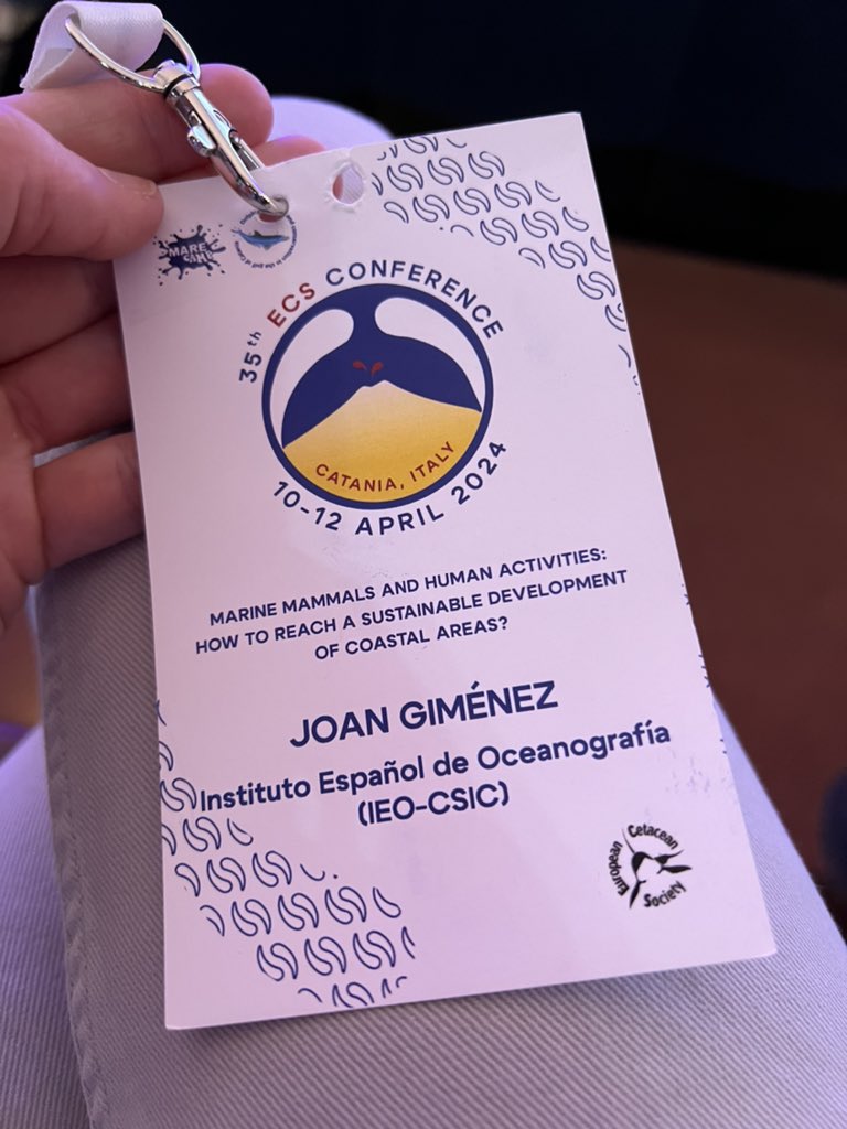 The 35th annual European Cetacean Society Conference has just started @EuroCetSoc #ECSconference2024 and @IEOoceanografia @IEO_Malaga @csic will be presenting some interesting studies on cetaceans ecology