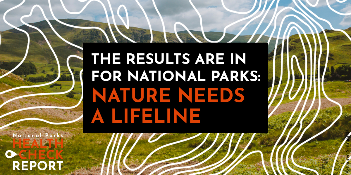 National Parks are currently among the last refuges for many species on the brink of being lost from the UK🦋🌼🌿🐾 @Campaign4Parks Health Check Report shows the need to ensure our Parks become the places these species recover and are able to spread. 👉 cnp.org.uk/health-check-r…