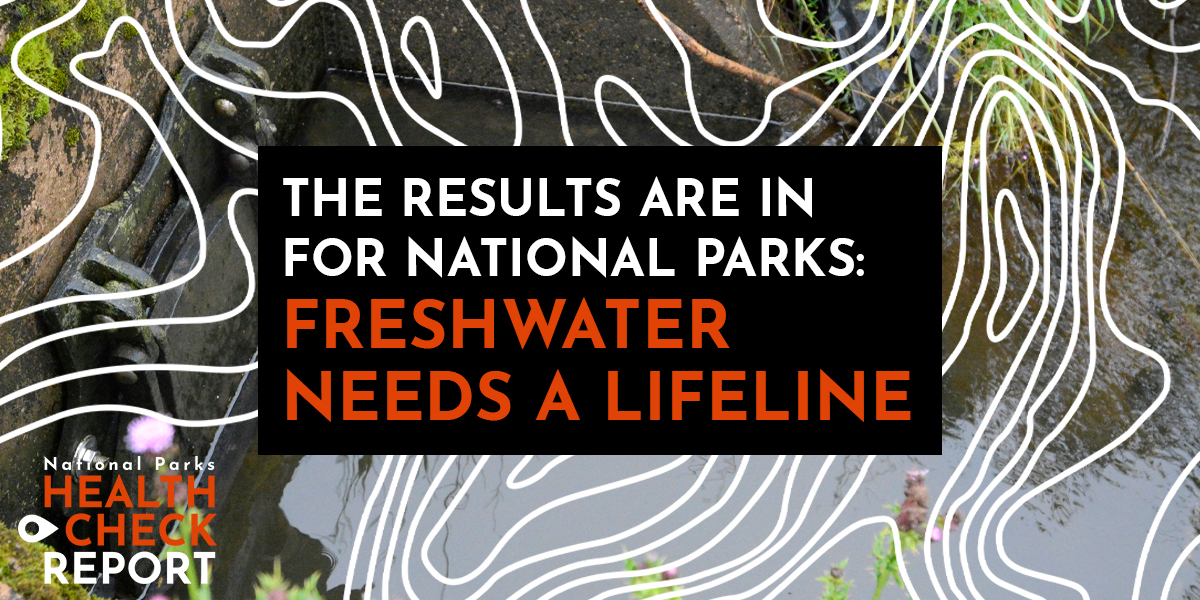 ❌Our freshwater habitats are in crisis across the UK. @Campaign4Parks Health Check Report shows that even in our incredible #NationalParks, nature needs a lifeline. Read @Campaign4Parks' report and take action today👉 cnp.org.uk/health-check-r… #HealthCheckReport