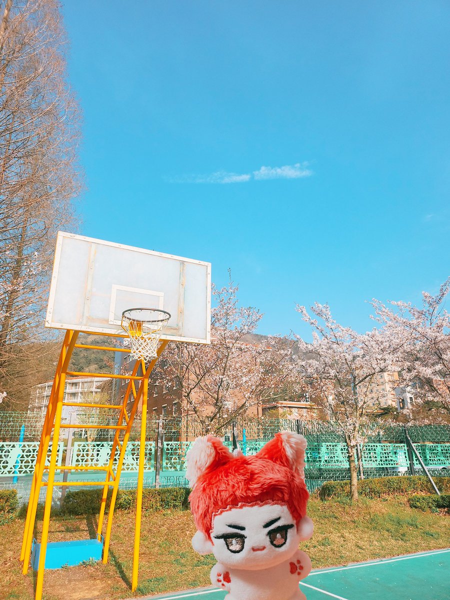 아 귀요어
기숙사 농구장 완전 백호 생각나 . . .🥺🌸