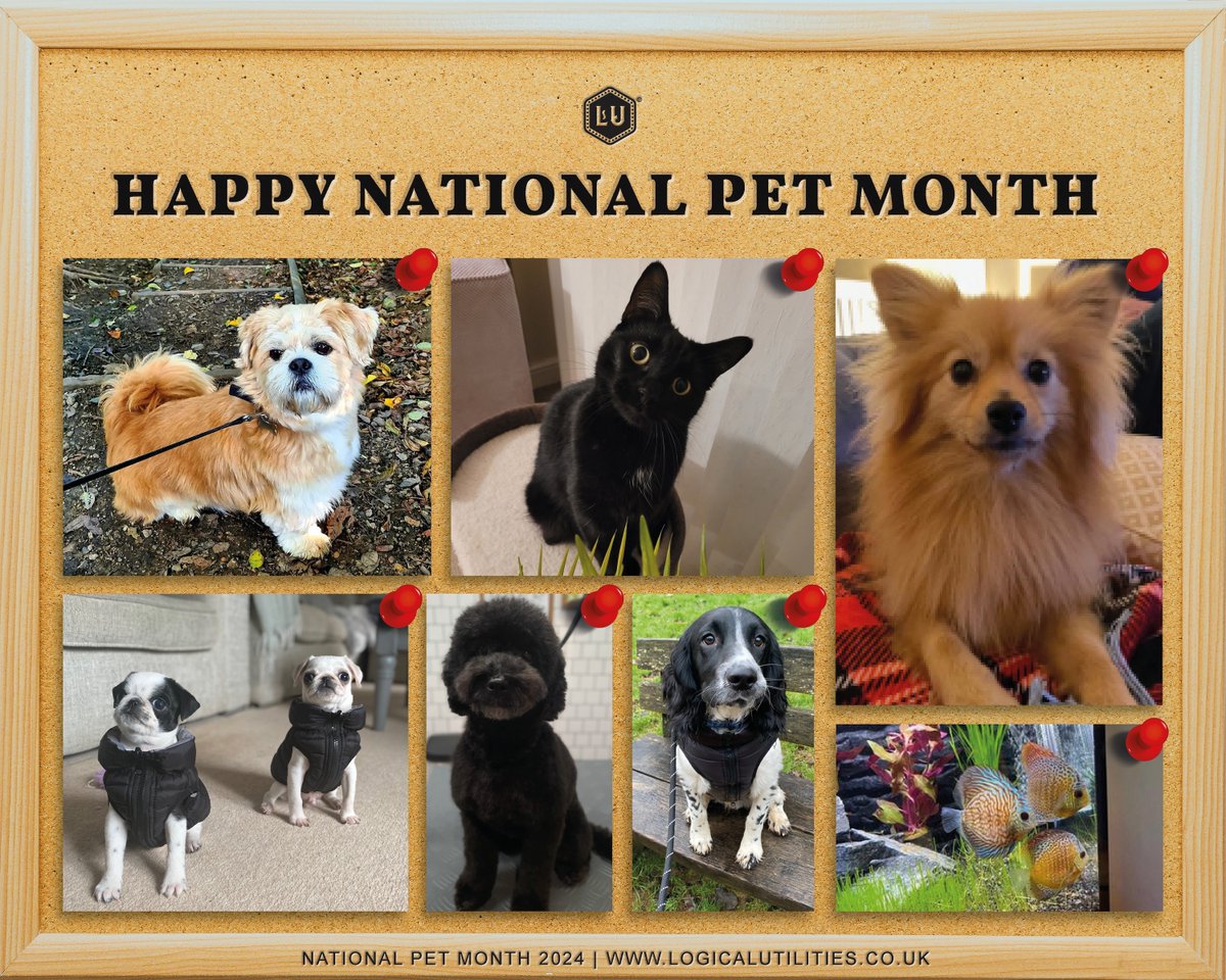 🐾 Happy National Pet Month! 🎉 

🐶🐱🐦🐰 #NationalPetMonth 🐾 #logicalutilities #logical #thelogicalapproach
