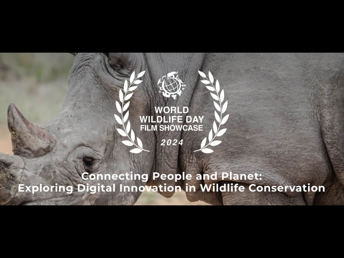 Official selections announced for 2024 World Wildlife Day film showcase for this year's theme “Digital Innovation for Wildlife Conservation” - hoping to encourage audiences to 'address the most urgent environmental issues of our day' 🦏 buff.ly/4akJBOE
