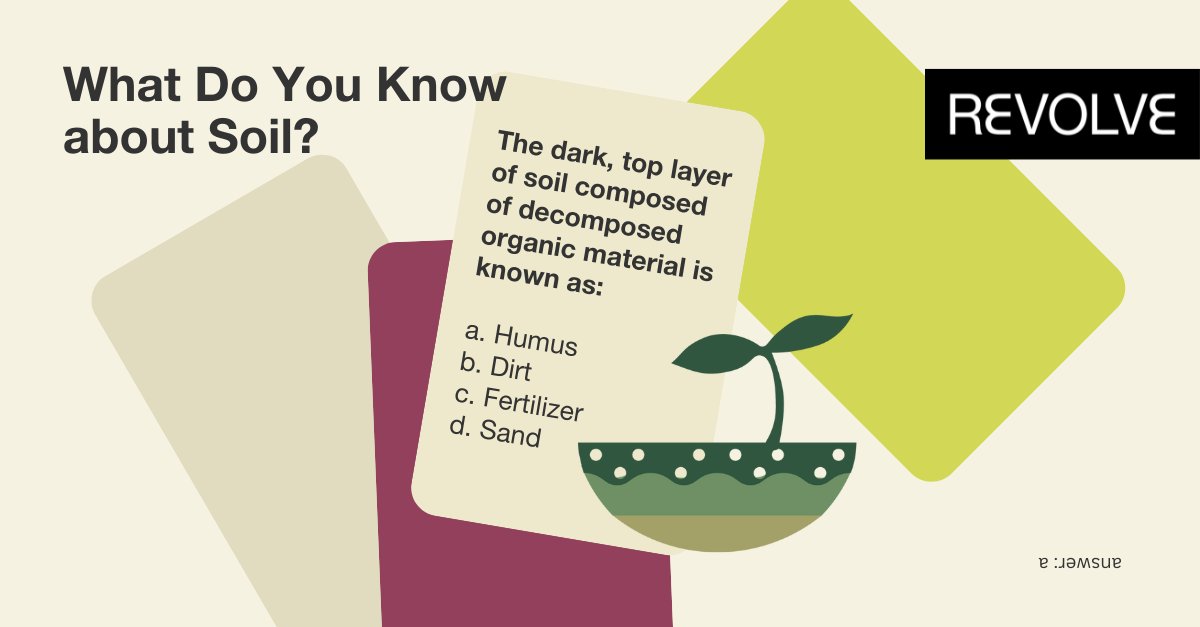 Are you #SoilSmart? 🤔🌱

#DYK Many of today's antibiotics have been derived from soil! eg. Penicillin 💊💉

Why not test your knowledge with our third #quiz in REVOLVE’s #SoilHealth campaign!