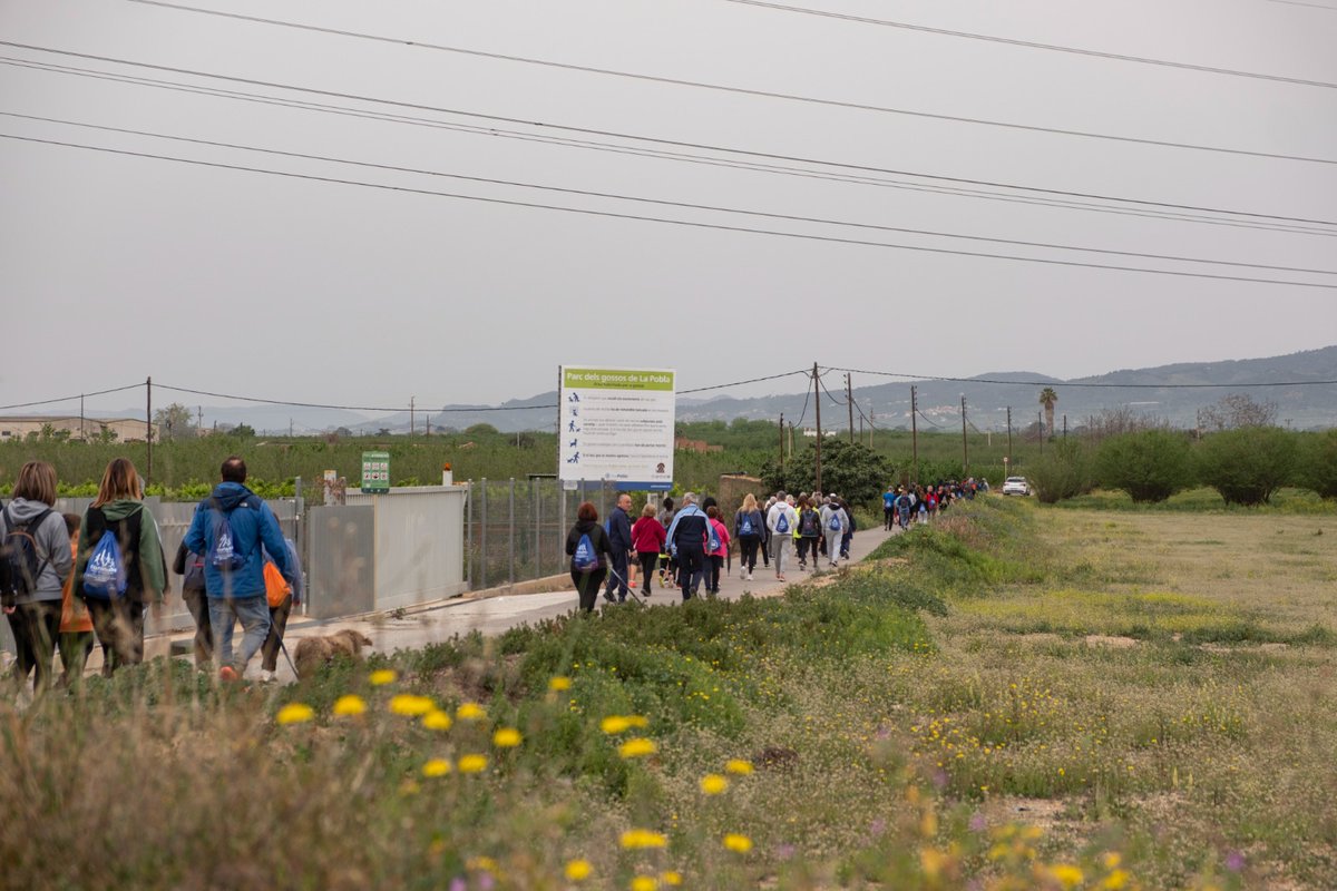 🤸ACTIVITAT FÍSICA | La Pobla de Mafumet batega amb una caminada per promoure el Dia Mundial de l'Activitat Física Fins a 3️⃣0️⃣0️⃣ persones han participat en les 3 rutes organitzades per incentivar l'activitat física 🔗esport.gencat.cat/ca/actualitat/… #DMAF2024 #mouteiviufeliç #esportcat