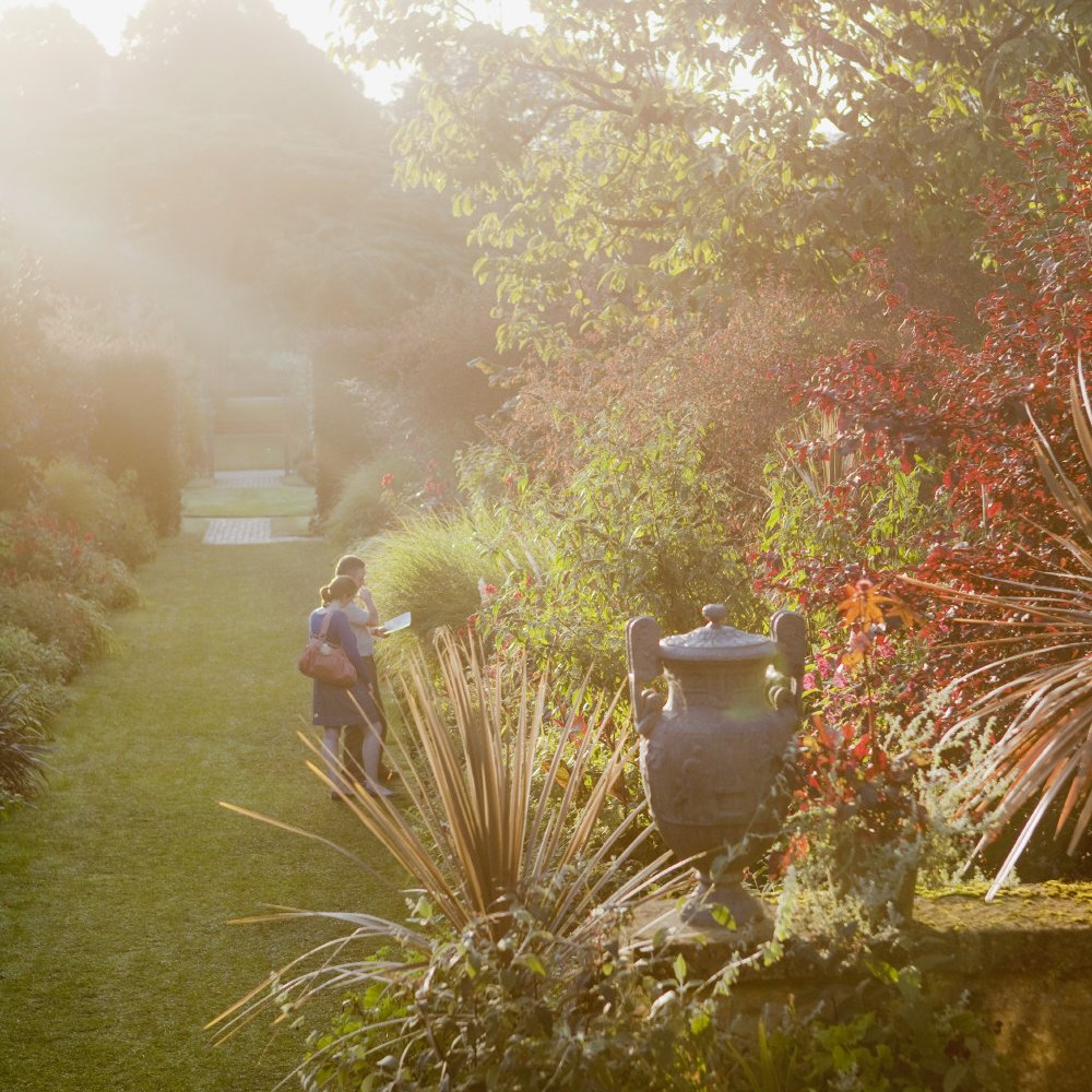 ⭐ Launching: Golden Hour Evenings ⭐ Wander Hidcote's blooms and borders in the magical early evening light, with a bar, food truck catering and live band. 21 May and 20 June | 6 - 9 pm Adult - £20 | Child £10 Booking link 👉 tinyurl.com/9vbzsw73 or call 0344 249 1895