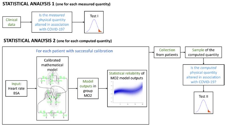 Proud to announce that our work on the consequences of #COVID19 on the #cardiovascular system has been published in #Nature #ScientificReports ! nature.com/articles/s4159… @polimi @mox_lab @LaBS_Polimi @policlinicoMI