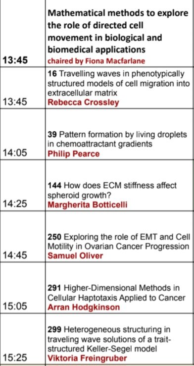 Excited for our session on modelling directed cell motion later today at BAMC! Please come along #bamc2024