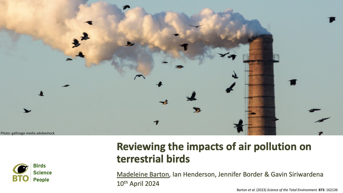 #BOU2024 #SESH1 Air pollution is detrimental to human and ecosystem health, but to what extent are birds impacted in the field? We conducted a literature review to find out! doi.org/10.1016/j.scit…