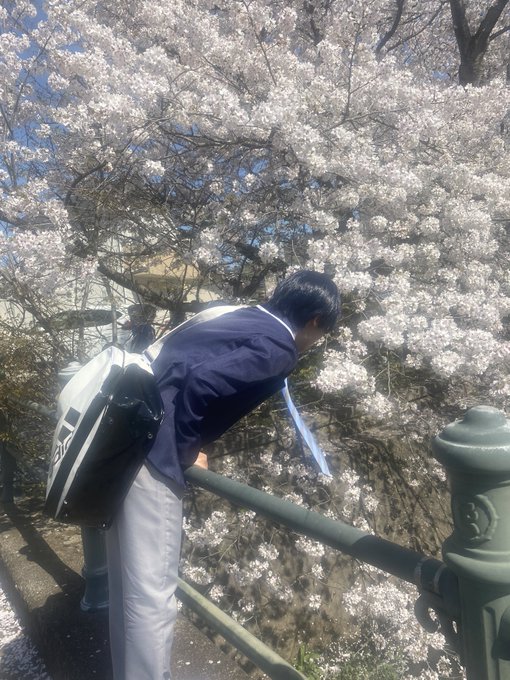 コスプレイヤーあおぴのTwitter画像34