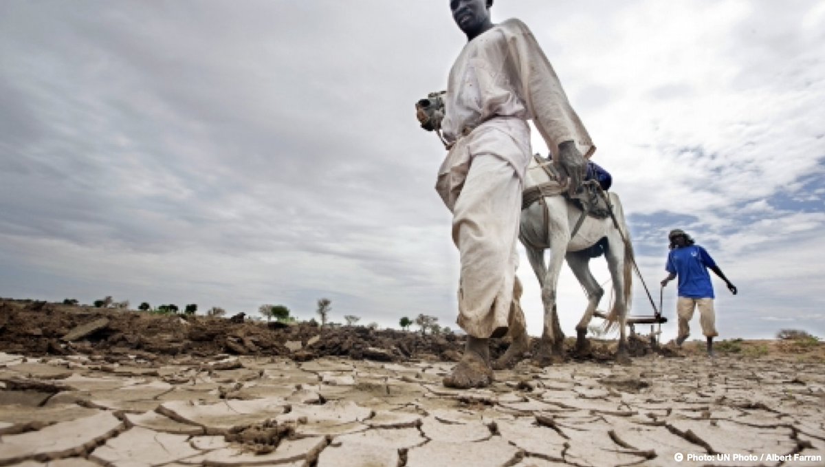 DaneEuclid's tweet photo. My latest article for @ResearchAfrica  encourages decision makers to invest in Africa's climate science capacity and to nurture local solutions to avoid reliance on the global north. Read: https://t.co/mGkueOGKcs #ClimateCrisis #africa https://t.co/X4VggU5Q8u