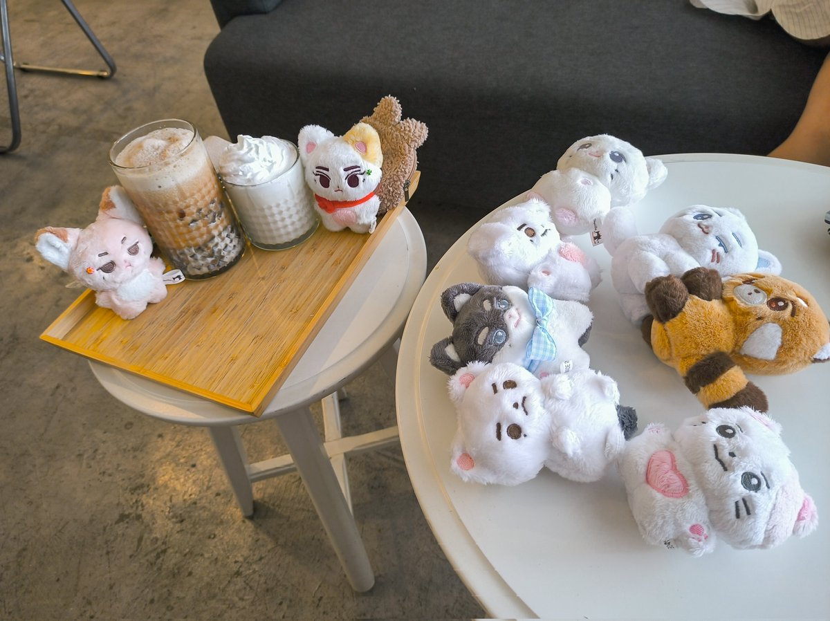𐙚 ๋࣭ 🐾 ⋆ shook off the morning daze with today's companions ⋆ 💤☕⊹ ࣪