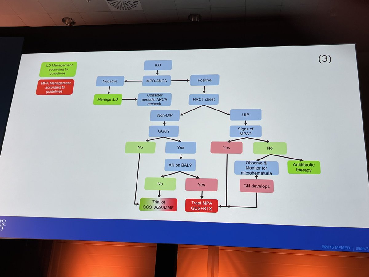 As usual elegant presentation on ILD in AVV by Mayo pulmonologist expert Ulrich Specks. At least in DK we would like to have such expertise for our disposal! #vasculitisBCN2024 !