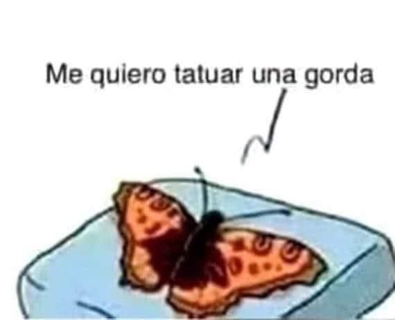 Rene ZZ (@renezzbro) on Twitter photo 