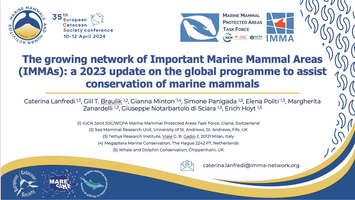 Caterina Lanfredi from @mmpatf opens 2nd session at 35th European Cetacean Society conference with update of the 280 Important Marine Mammal Areas, IMMAs, identified in 75% of the global ocean, including European waters. #ECS2024 @savingoceans @MarineMammalCom @EuroCetSoc