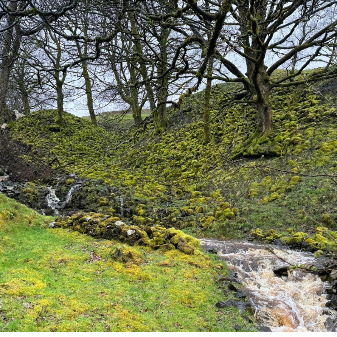 Our pupils were terrific on their first day of the @DofE Gold Award despite the wet and windy weather. #dofe #goldaward