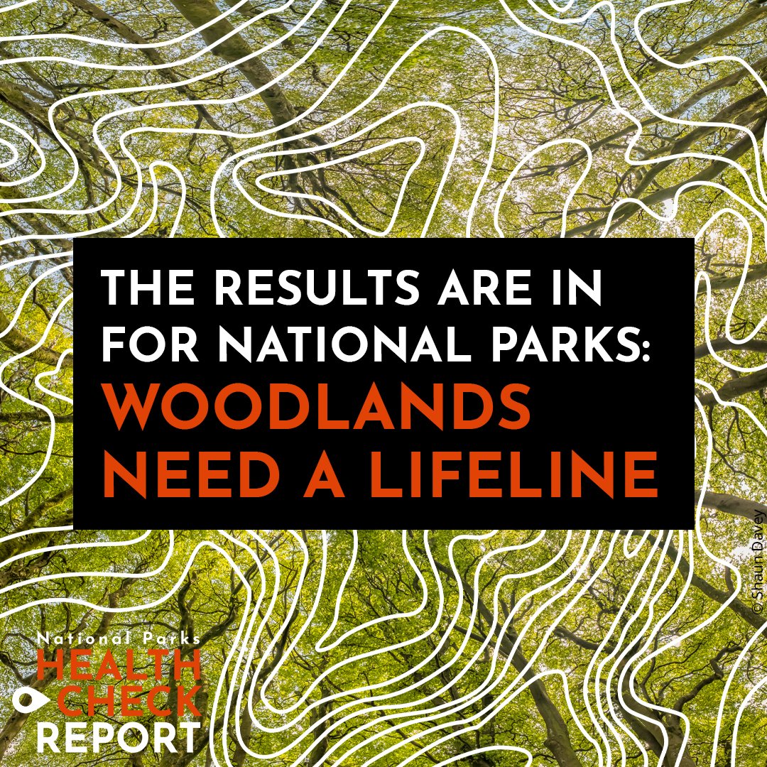 Moor Trees (@moortrees) on Twitter photo Powerful new report out today from <a href="/Campaign4Parks/">Campaign for National Parks</a> . Despite the best efforts of organisations such as ours, #nature is still struggling. #Woodland coverage in National Parks has flat-lined over the last decade. Let’s get National Park #nature back to full health. Powerful new report out today from <a href="/Campaign4Parks/">Campaign for National Parks</a> . Despite the best efforts of organisations such as ours, #nature is still struggling. #Woodland coverage in National Parks has flat-lined over the last decade. Let’s get National Park #nature back to full health.
