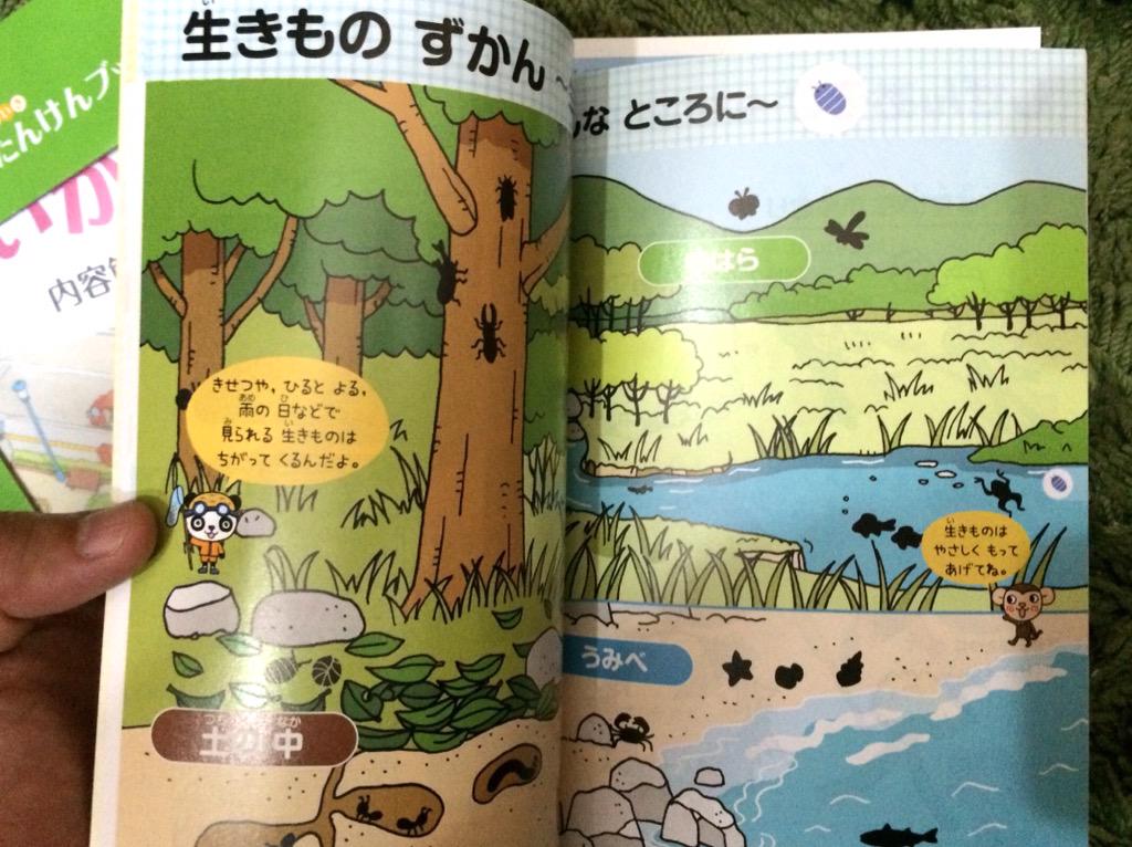 今年は描いてないけど、過去描いた教科書イラスト。ほぼクリエポで依頼された。描いてから本になるまで2年かかるので絵柄も変わるよね。あと没になる絵も多い。 