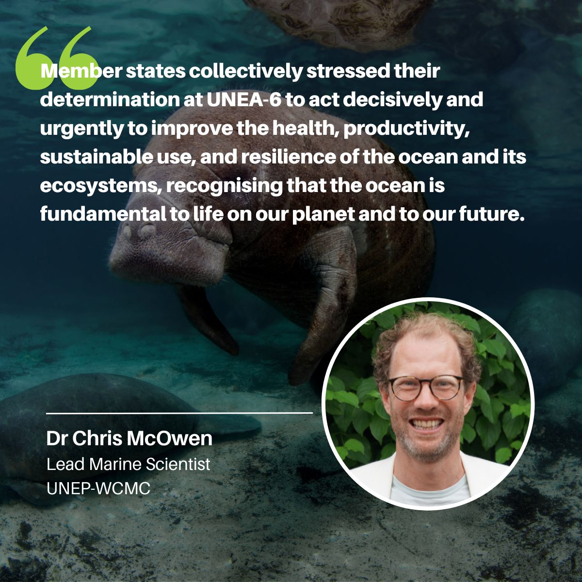 Regional ocean governance is key to tackling the triple planetary crisis. 🌎🌊 As the @UNOceanDecade Conference commences in Barcelona 🇪🇸, we revisit discussions from #UNEA6 aimed at supporting ocean conservation in areas beyond national jurisdiction: tinyurl.com/358zxtac