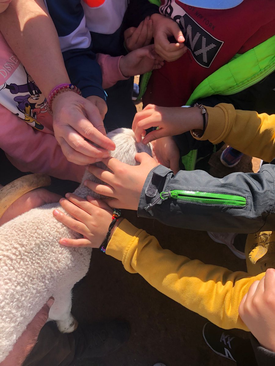 SierradeSegura_'s tweet photo. ✅SIERRA DE SEGURA. ☘️Un día siendo trashumante, un proyecto para los y las más jóvenes de la Comarca, 🐐promovido por ADEMUR dentro de la Estrategia de Desarrollo Local de la Sierra de Segura. #ProgramaLeader #FondosFeader #JuntadeAndalucia #GDRSierradeSegura #UnionEuropea https://t.co/xqgHO5xSoK