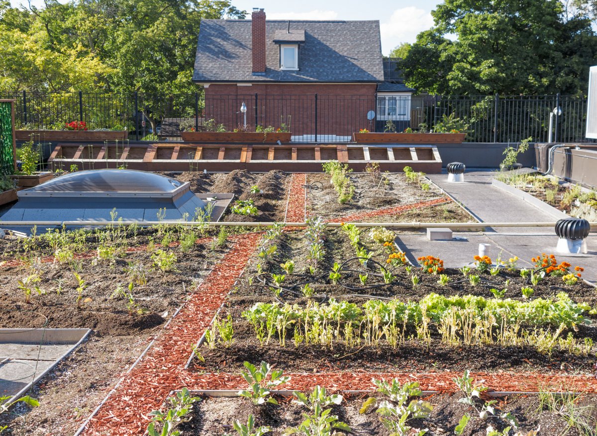 #Greenroofs 🏡 are emerging as an innovative solution to reconnect with nature 🌱 and promote a #circulareconomy model ♻️.
Let's improve our cities with green innovation!
If you want to get more information 💡👇
naturbuild.eu/en/green-roofs…