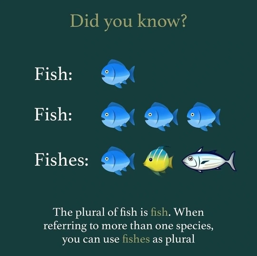 Did you know?