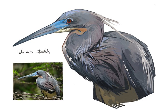 「beak from side」 illustration images(Latest)