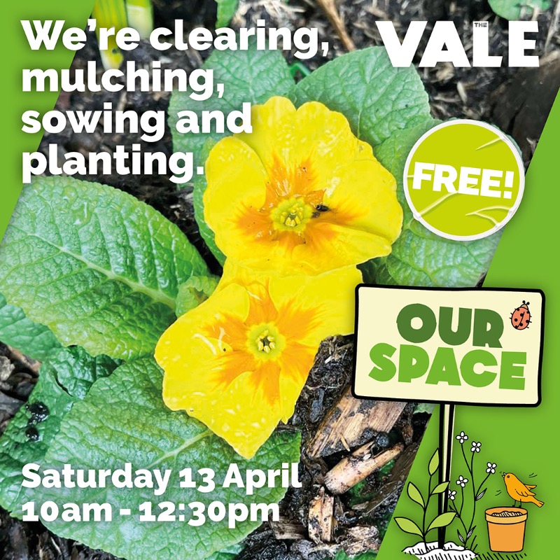 🌱🧹🍃 We’re clearing, mulching, sowing and planting. 🍃🧹🌱 The Vale, Sat 13 April. 10am to 12.30pm. 🆓 It’s FREE. #FamilyFun #Family #OurSpace #Free #Mossley #InTameside #MossleyFreeActivities #TheValeMossley #Flowers #Plants #Garden #Planting #Sowing