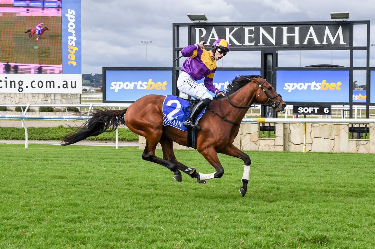 We’re delighted to see popular jumps jockey Braidon Small is set to make a heartwarming comeback to the racing scene tomorrow after an 11-month hiatus to treat a brain tumour. We wish Braidon the best of luck for his comeback and look forward to seeing him back in the saddle 🏇🏻