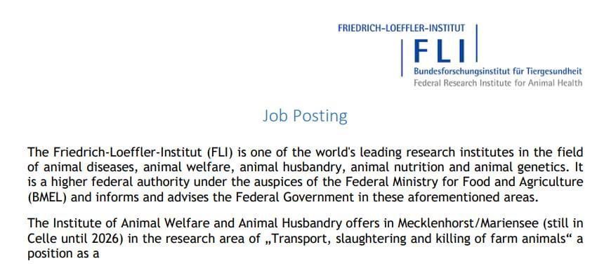 #JobAlert !! NB short deadline: 12th April 2024 Research scientist on „Transport, slaughtering and killing of farm animals“ Institute of Animal Welfare and Animal Husbandry, Friedrich-Loeffler-Institut Celle, Germany More information: applied-ethology.org/Research_Scien…