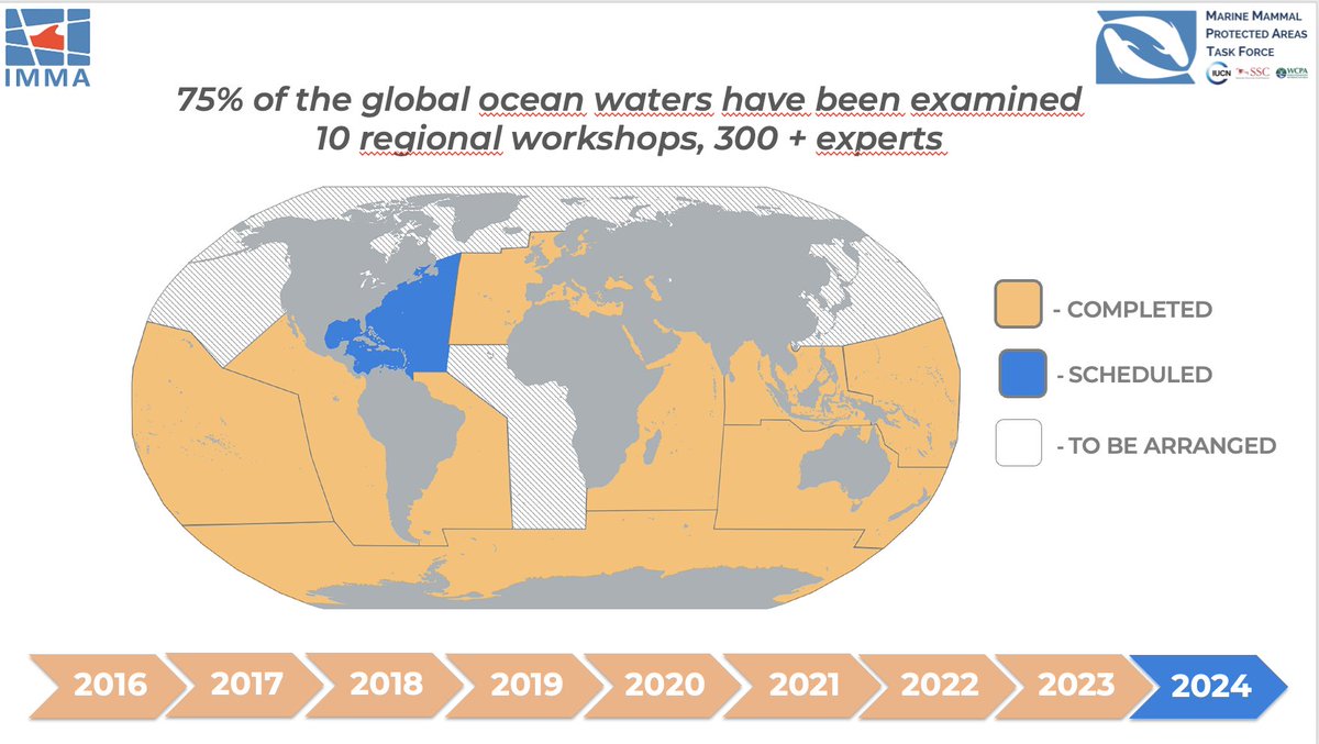 Time line of the Important Marine Mammal Area / IMMA programme — Caterina Lanfredi talks about the implications of this spatial tool as it spreads around the world. #ECS2024 @savingoceans @EuroCetSoc @marinemammalogy @IucnOcean @IUCNssc @IUCNCetaceanSG @whalesorg @whalesorg_de