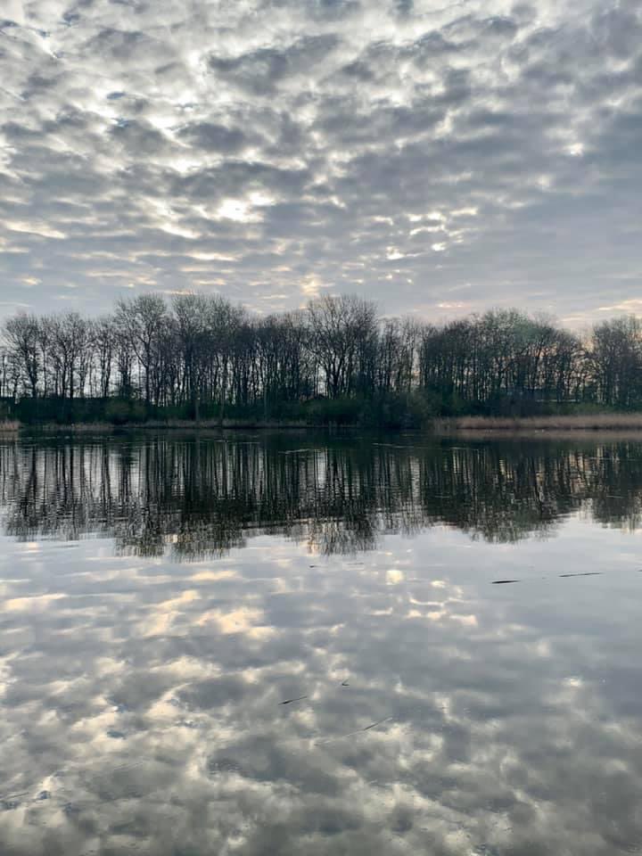 Patrick Braat ® tweet media