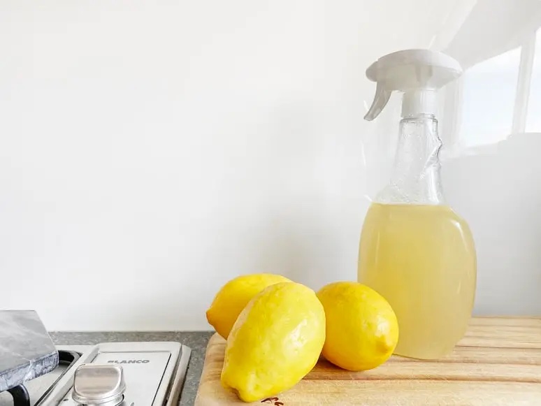 It's finally spring and now is the perfect time to refresh and reorganize your home. Explore these tips on how to get the most out of your spring cleaning projects.

ow.ly/SHU150RbUqL

#Organization #RuleProperties