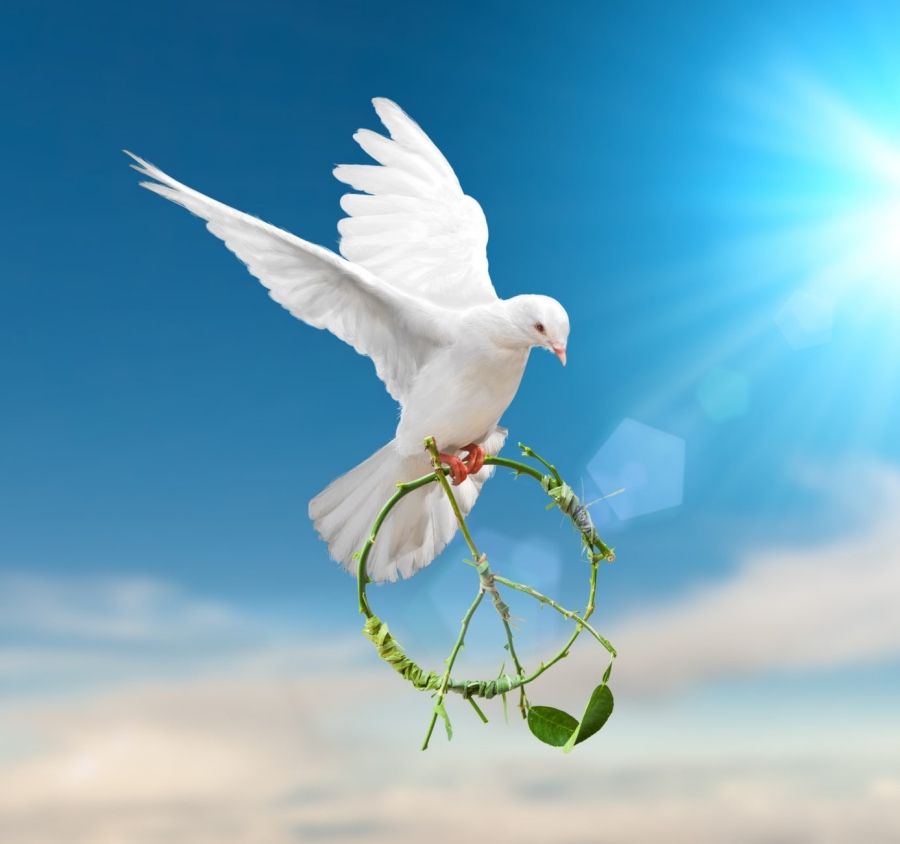 Peace. #peace #Hope #joy #fruit #fruitOfTheSpirit #spiritual #Galatians #Shalom #Irene #trending #Gleanings #KevinCorbin #devotional #BibleStudy gleaningsfromtheword.com/?p=2455