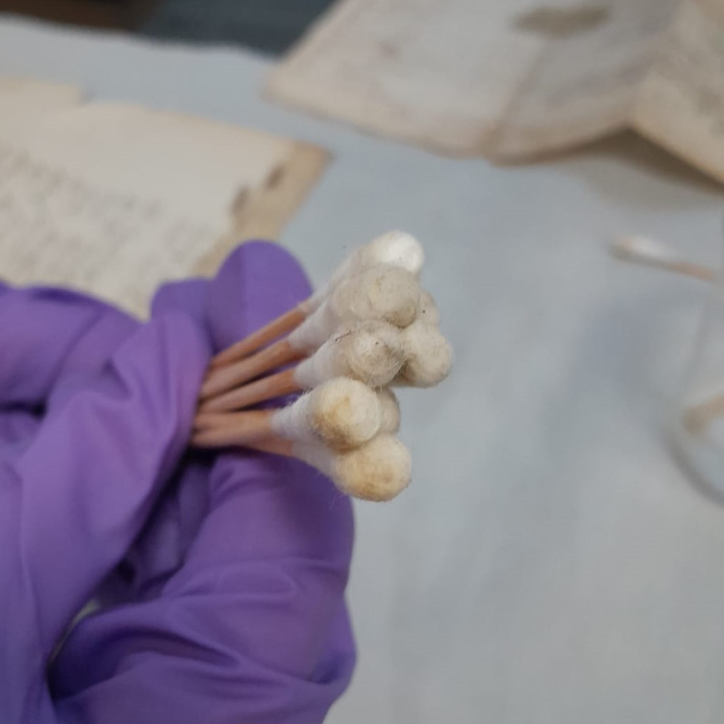 Sticky tape is the bane of the archive world. Here's our conservator removing adhesives from a document so that future generations can study it. This is very delicate work involving solvents, so the gloves are on!