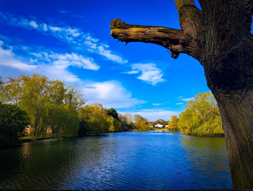 AJS0391's tweet photo. Absolutely beautiful 😍
#peace #peaceful #peacefulmoments #serenity #Lake #lakephoto #blueskies #tree #trees #treephotography https://t.co/fcLBvWZty6