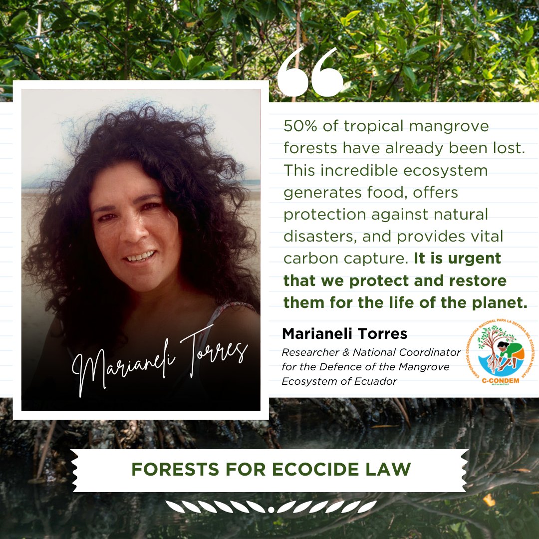 🌳 Making #ecocide an international crime can provide a vital framework to protect forest ecosystems from the worst harms. Find out more about the new Forests for #EcocideLaw Network, our amazing global partners + how YOU can get involved: stopecocide.earth/forests #StopEcocide