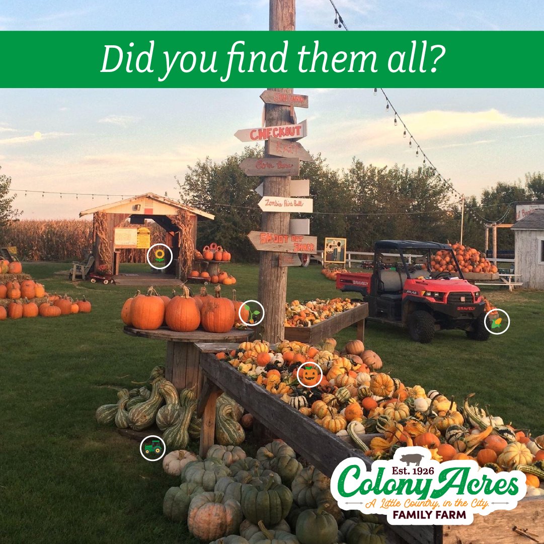 Did you find all 5 emojis? 🌻🎃🚜🌽🌱 The start of our 2024 season is just around the corner and we can’t contain the excitement! Be sure to follow along and visit our website for updates! colonyacres.farm #ColonyAcres #FamilyFarm #EmojiReveal #Sunflowers #FallHarvest