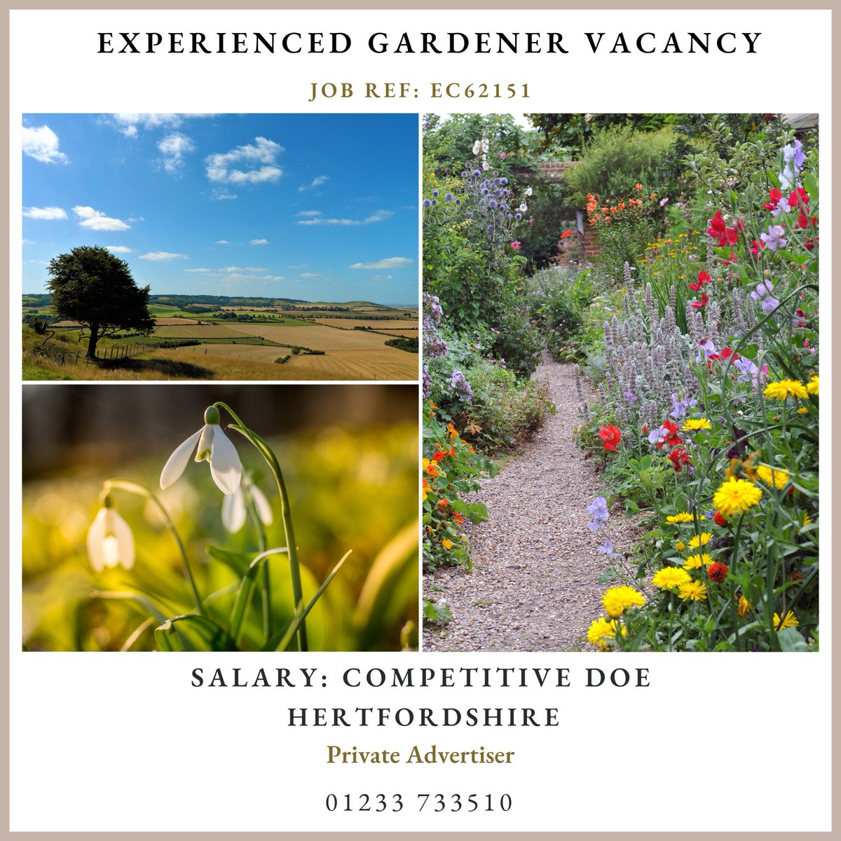 Experienced and hard-working professional gardener sought for a private estate in the Hertfordshire Green Belt.

EC62151 englishcountrygardeners.co.uk/job/gardening-…

#horticulturalist #horticulturejobs #horticulturaljobs #horticulture #gardening
