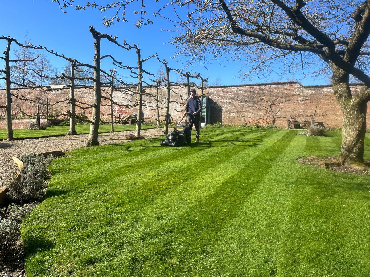 First grass cutting of the year! We're getting ready for reopening on 18th April. Glimpse behind the scenes in our April newsletter, link below, we are all looking forward to welcoming visitors back to the garden again! mailchi.mp/himalayangarde…