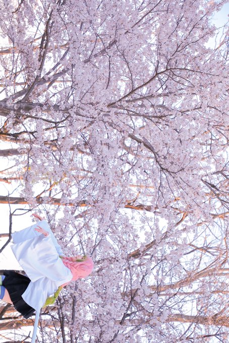 「桜 プリーツスカート」のTwitter画像/イラスト(新着)｜3ページ目