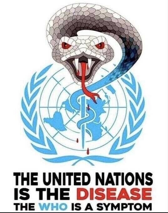 Was the UN put together as part of the NAZI plan for Agenda 2030 ? #HIAW