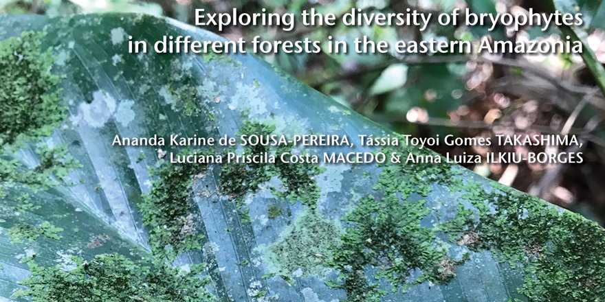 [#Bryology] Exploring the diversity of bryophytes in different forests in the eastern Amazonia ✒️ Ananda Karine de SOUSA-PEREIRA et al. 🔗 cryptogamie.com/bryologie/45/2 #liverworts #mosses #botany #Bryophyta #BOTANIST #iamabotanist #bryologist