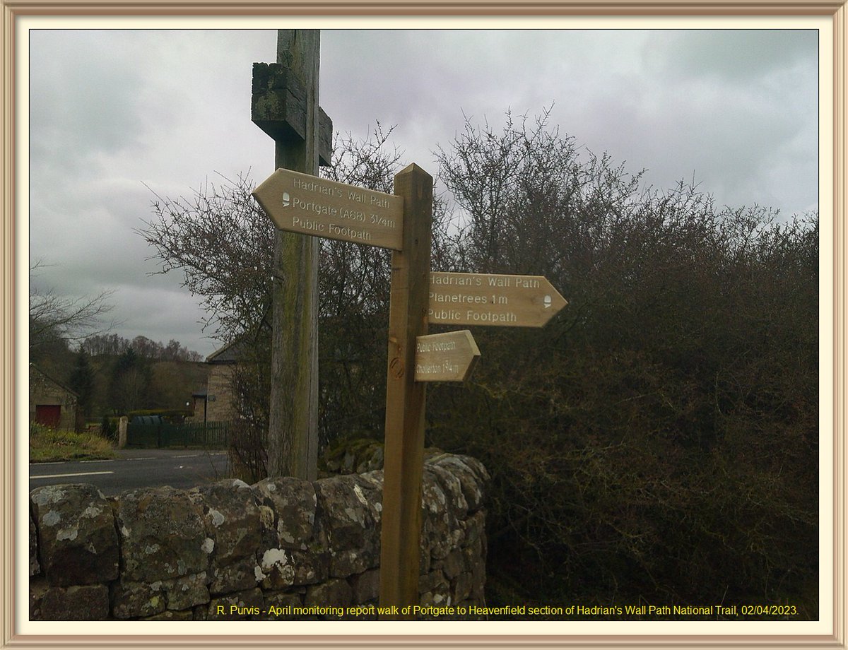 So many favourite spots on Portgate to Heavenfield section of Hadrian's Wall Path National Trail. Going to sign off with pictures of some of them. Fingerpost and cross at end of section at Heavenfied, in Wall mile 25.