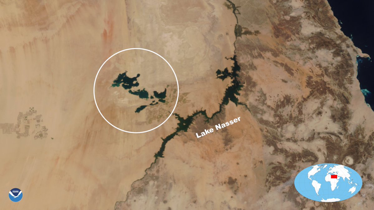 It's #WhereInTheWorld Wednesday, so it's time for a new quiz! 🥳 On April 8, the #NOAA20 satellite caught a clear view of these lakes (circled), located near the Nile River in Egypt. Their presence is caused by the periodic overflow of Lake Nasser, located next to them.