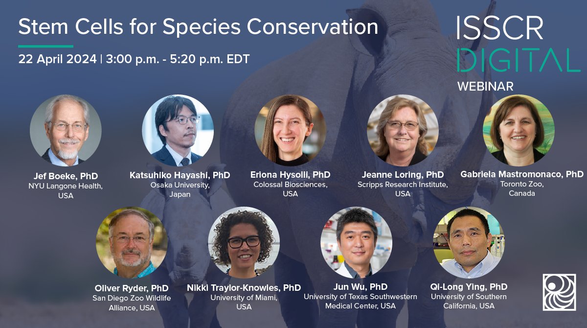 Join us on #EarthDay, 22 April 2024, for a complimentary #ISSCRDigital Webinar exploring the science, ethics, and future use of #stemcells for species #conservation. Do not miss this open-access event presented by leading researchers 👉 bit.ly/3IAsQTt
