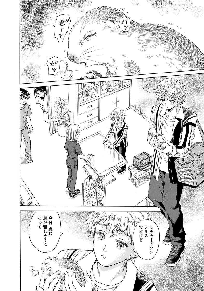 送料無料　わたしは海獣のお医者さん (イワサキ・ノンフィクション) Amazon.co.jp: わたしは海獣のお医者さん (イワサキ・ノン