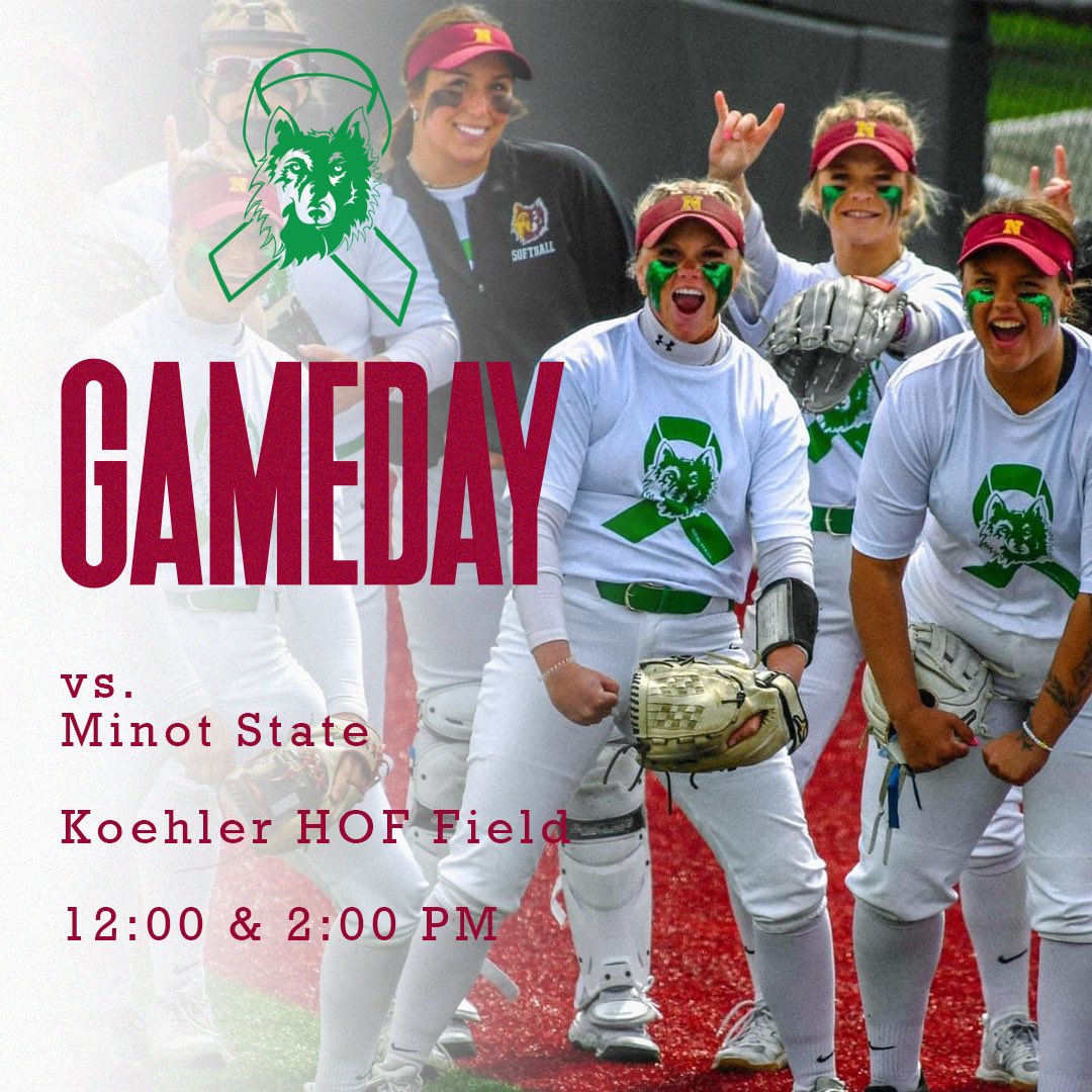 NSU Softball🥎 tweet media