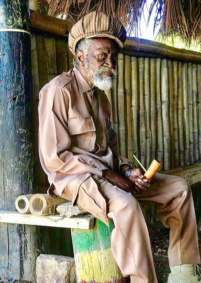 Toronto Reggae tweet media