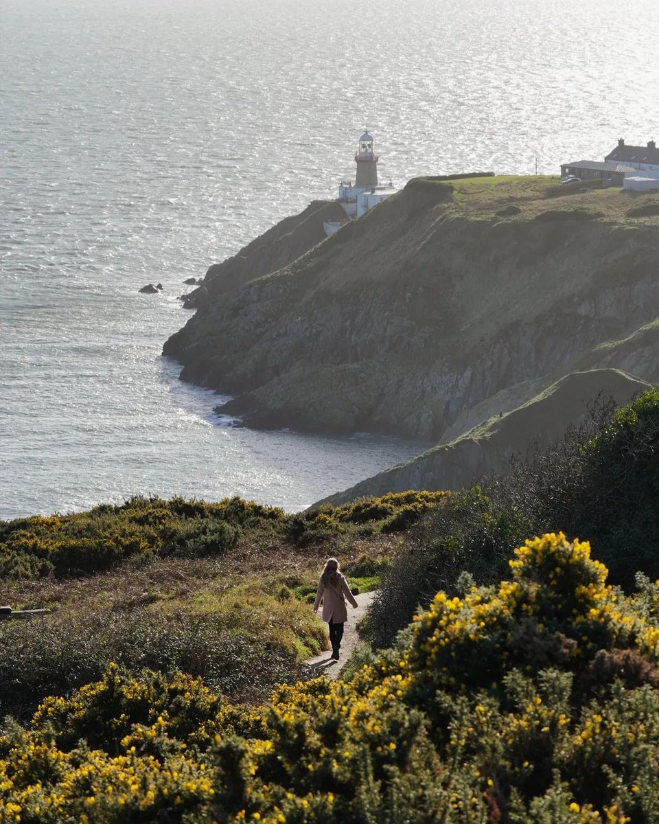 Our top 5 #Dublin hikes? 🌲🌿 🥾 Howth Cliff Path Loop (6km) 🥾 Cruagh Woods (4km) 🥾 Ticknock - Fairy Castle Loop (5.5km) 🥾 Lucan - Grand Canal Way (117km) 🥾 Ballycorus Lead Mines (2km) Any we have missed? 👀 📸 la_rozanka [IG] #LoveDublin #DublinCoastalTrail