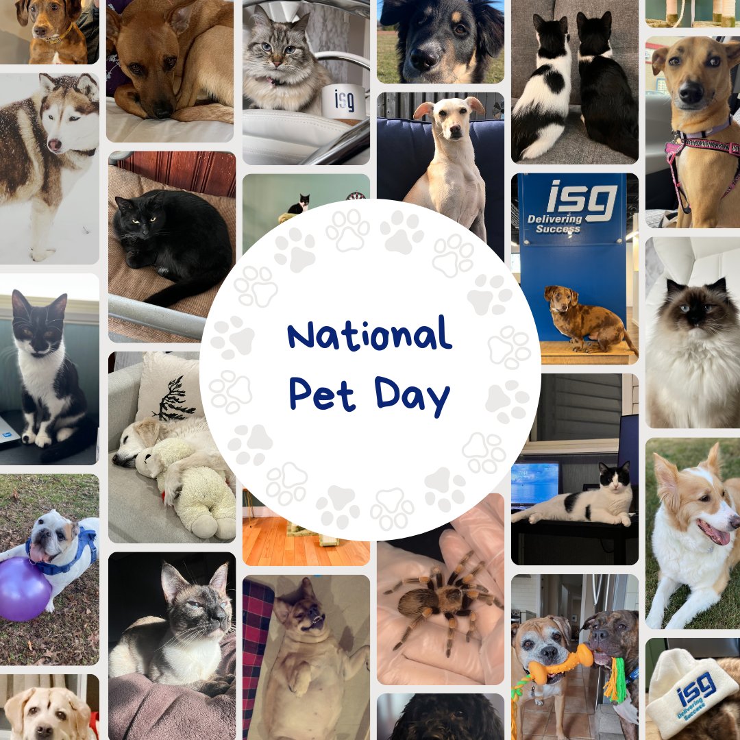 We are mutts about our #PetsOfISG🐾 Let's celebrate our furry, whiskered, and eight-legged companions who bring endless joy into our lives. Share a pic of your beloved pet below and spread the love! ❤️🐶🐱🐰 #DeliveringSuccess #NationalPetDay